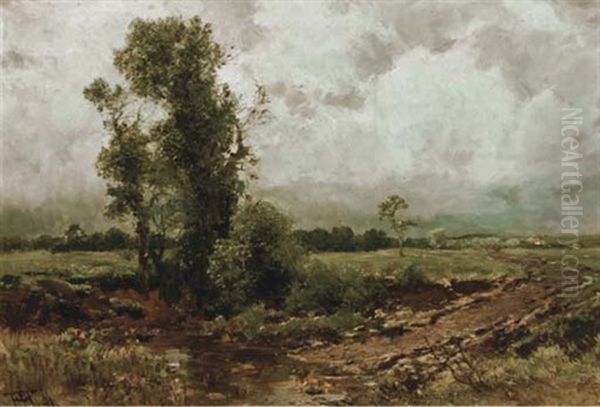 Trees By A Ford - view 1