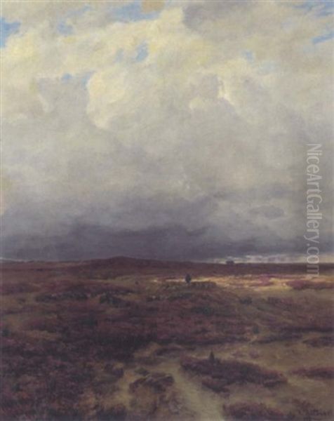 Schafer Mit Herde In Der Luneburger Heide - view 1