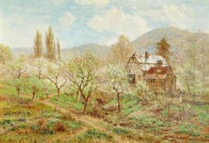 Fruhlingslandschaft