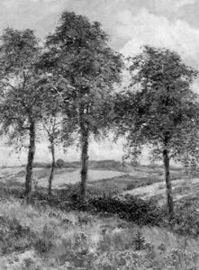 Ebereschen In Der Eifel