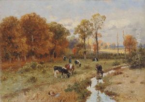Hirten Mit Kuhen In Herbstlicher Abendlicher Weidelandschaft