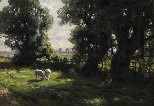 Auf Der Weide