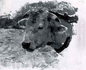 Head Of Ox