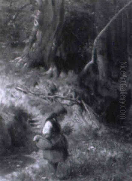 Rotkappchen Und Der Wolf Begegnen Sich Im Wald - view 1