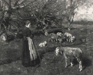 Watching The Sheep