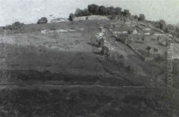 The Field On The Hill, Late Afternoon - view 1