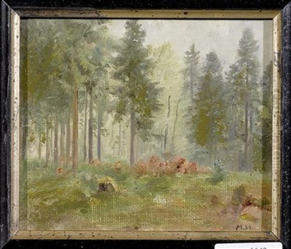 Waldlichtung - view 1