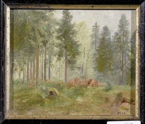 Waldlichtung