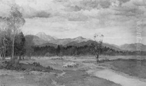Schafherde In Voralpenlandschaft