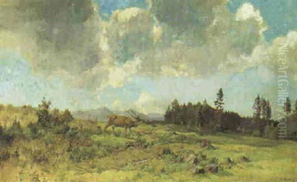 Wiese In Voralpenlandschaft - view 1