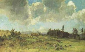 Wiese In Voralpenlandschaft
