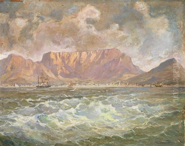 Blick Auf Kapstadt Und Den Tafelberg - view 1