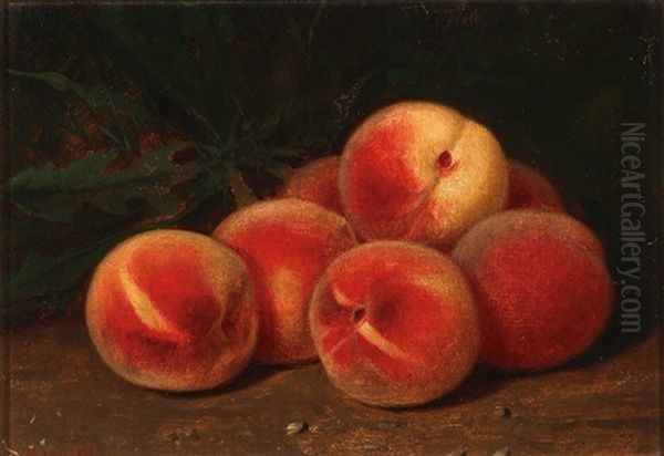 Still Life With Peaches - view 1