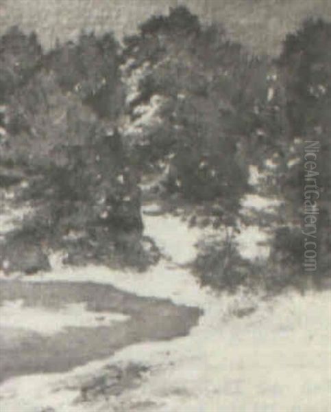 Snow Scene - view 1