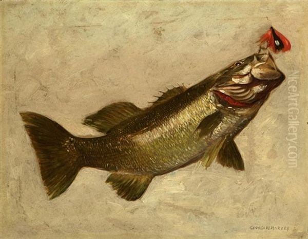 Black Bass - view 1