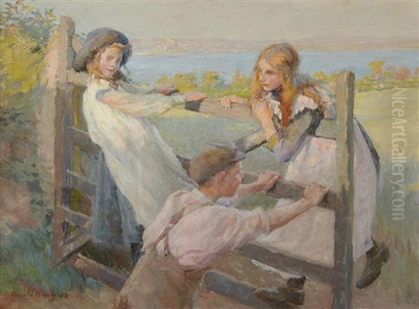 Swinging On A Gate - view 1