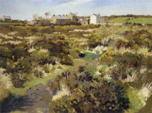 Near Zennor, Chy-an-mor - view 1