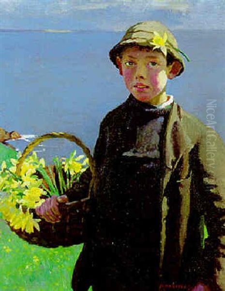 Daffodils - view 1