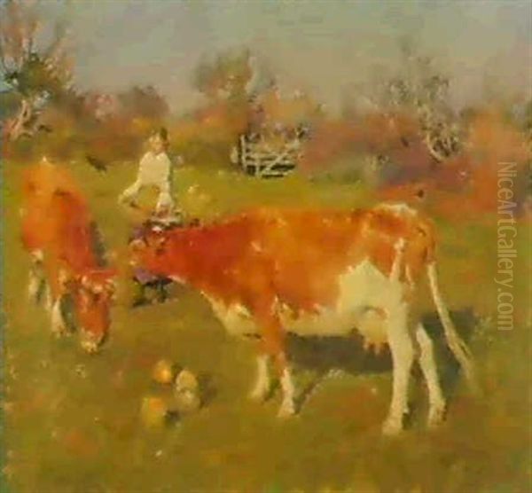 A Farm Girl With Two Ayrshire Cows - view 1