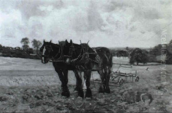 The Plough Team - view 1