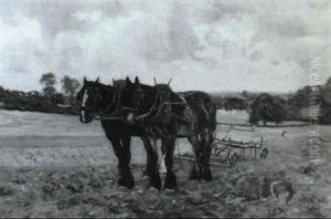 The Plough Team The Plough Team