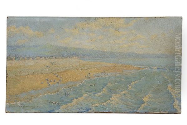 Sands Of The Pacific - view 1