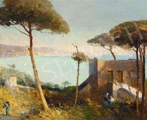 View To Pozzuoli thumbnail