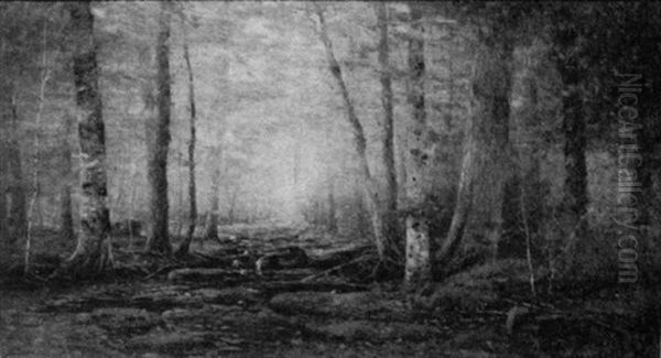 Woodland Scene - view 1