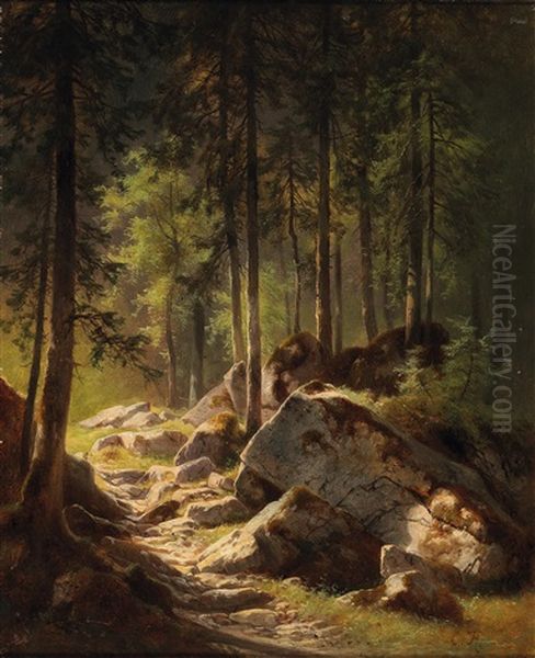 Woodland Path Suffused With Light - view 1