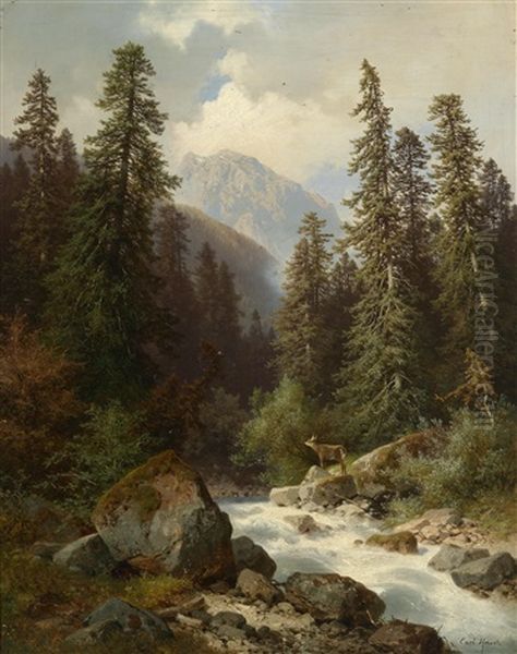 Reh An Einem Gebirgsbach Stehend - view 1