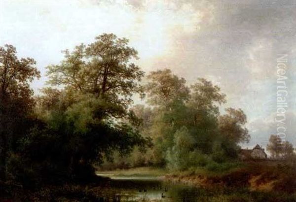 Baumreiche Landschaft Mit Weiher Und Enten - view 1
