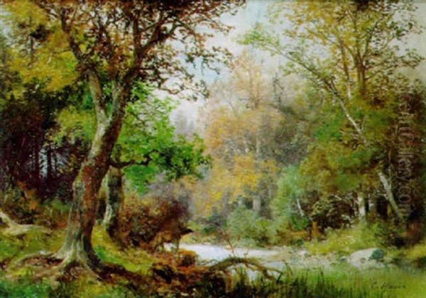 Waldlandschaft Mit Rotwild Am Flussufer - view 1