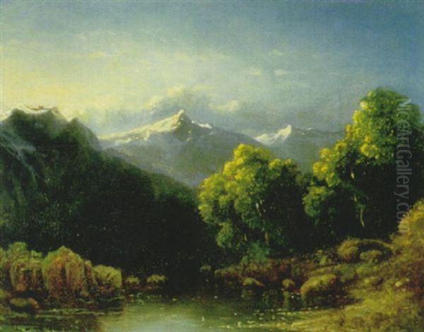 Der Bergsee - view 1