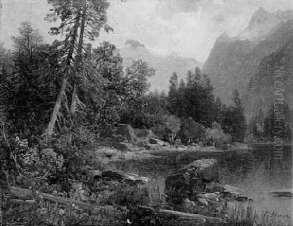 Bergsee - view 1