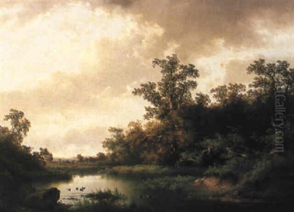 Bewaldete Fluslandschaft - view 1