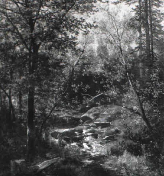 Wald Interieur Bei Hieflau - view 1