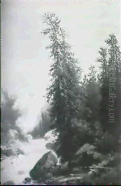 Wildbach - view 1