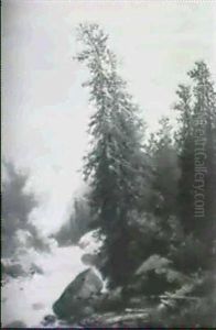 Wildbach