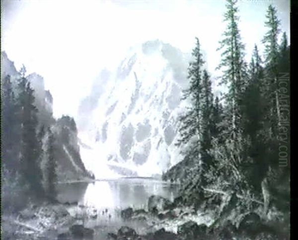 Blick Auf Den Pragser Wildsee In Den Dolomiten - view 1