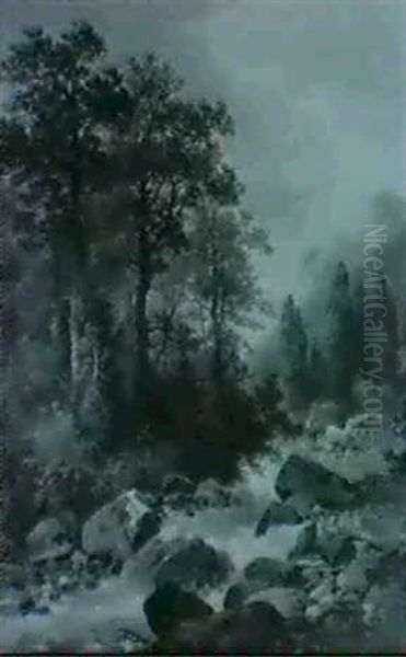 Waldbach Bei Hieflau In Der Steiermark - view 1