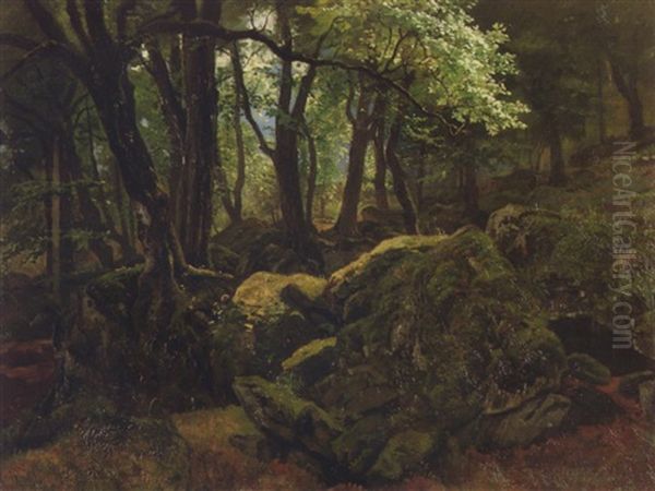 Woodland Interior - view 1
