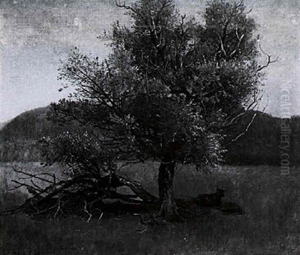 A Rest In The Shade, Lenox, Massachusetts - view 1