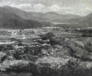 Marsh Country Near Lakein Switzerland by William Stanley Haseltine