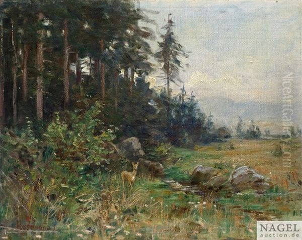 Bewaldete Landschaft Mit Reh - view 1