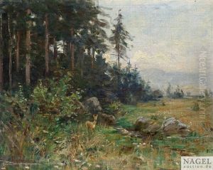 Bewaldete Landschaft Mit Reh