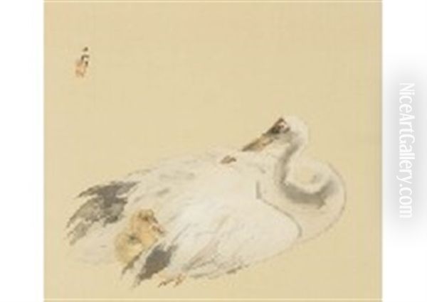 Crane At Nest - view 1