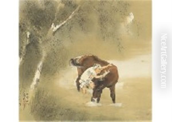 Horse Washing In The Evening - view 1