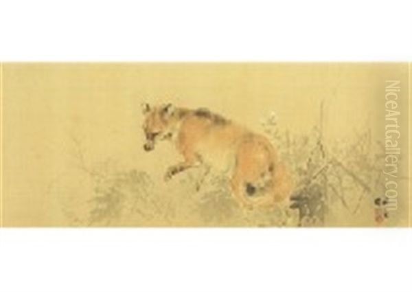 Fox - view 1