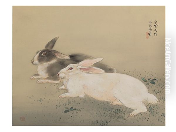 Hares - view 1