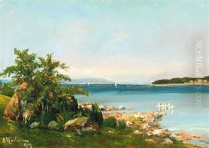 Danish Summerscape